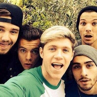 DIRECTIONER