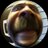 yankeeman76's profile image