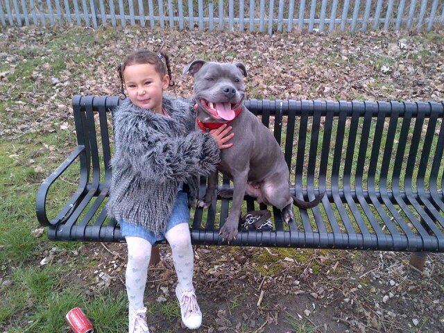 bobbynorts's profile picture. 