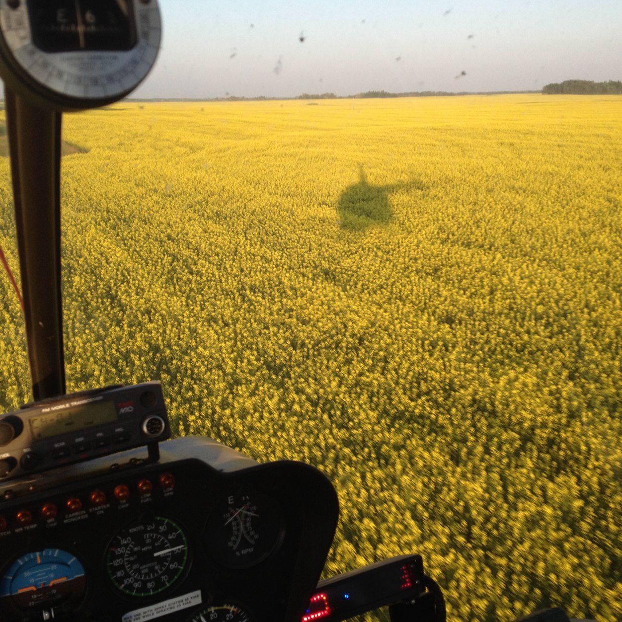 dougkur's profile picture. 