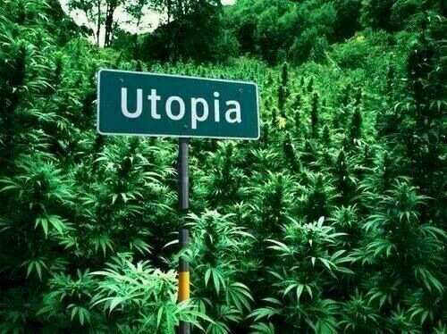 Marihuanna00's profile picture. Love Cannabis 24 hours