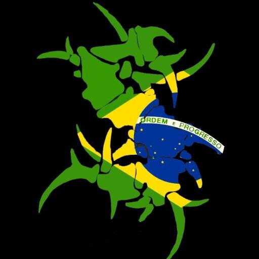 SEPULTURA DO BRASIL  #MachineMessiah