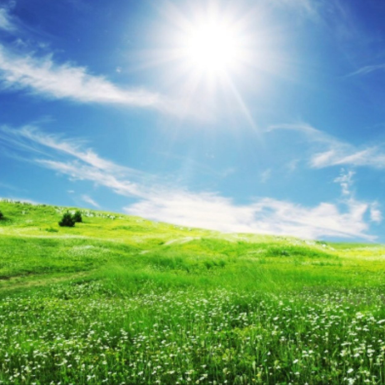 Stunningplacesz's profile picture. 