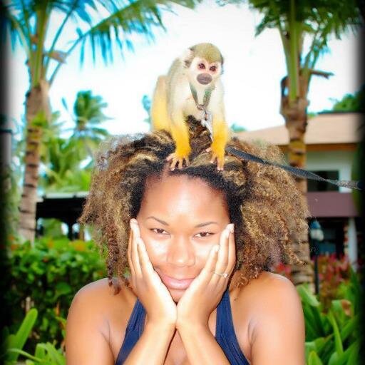 Zenna Wadawu - My Life = https://t.co/6AcDEcM4Py https://t.co/Xc9yGbBJWW.Fun #funwithzs #hautejaunt