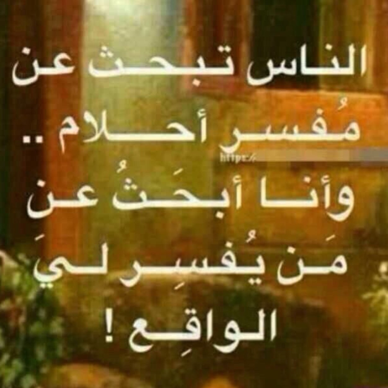 alba185687161's profile picture. 