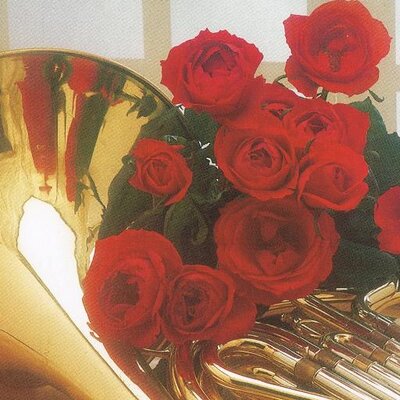 Profile Picture of Jennifer Ann Parrott (@jenniferannpar2) on Twitter