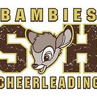 St. Hubert Cheer (@bambiescheer) 's Twitter Profile
