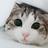 yatasan's profile image