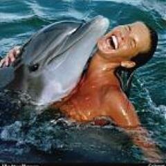 Dolphins fan