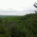 Eddy Ward - @Blonthar - Twitter