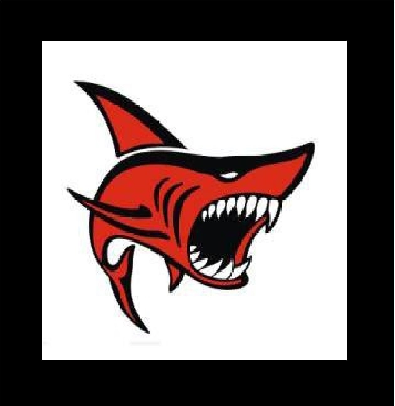 SHARKSPTY's profile picture. 