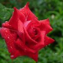hamouda abed (@0595127528) Twitter