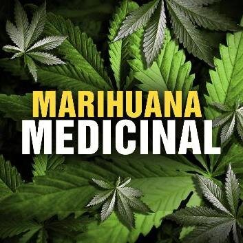sitio Pro legalizacion de la Marihuana, la despenalizacion del uso recreativo, el altocultivo, y la marihuana medicinal en Panama, somos parte de la cultura.
