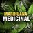 legalizepanama's profile image