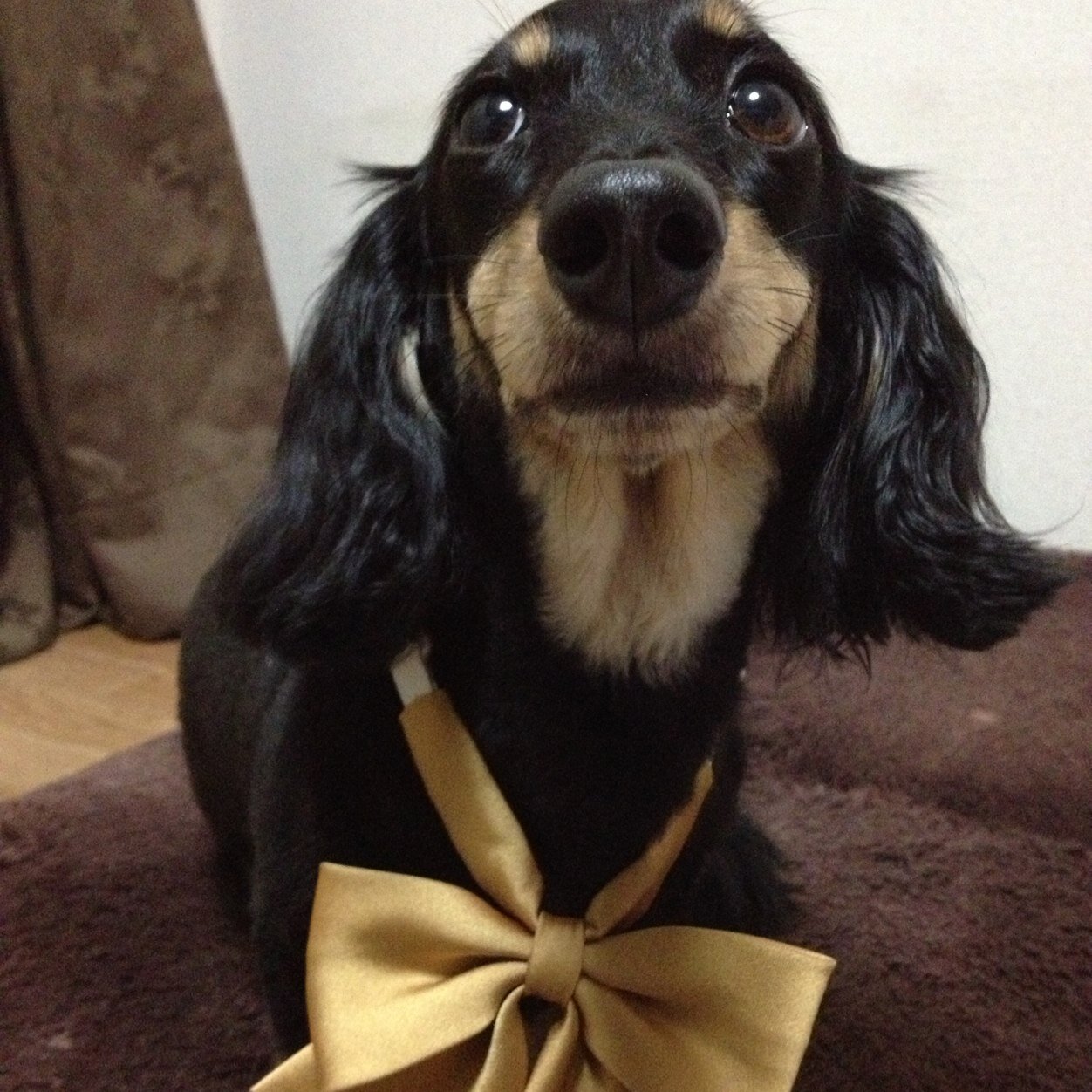 思考と感情の整理