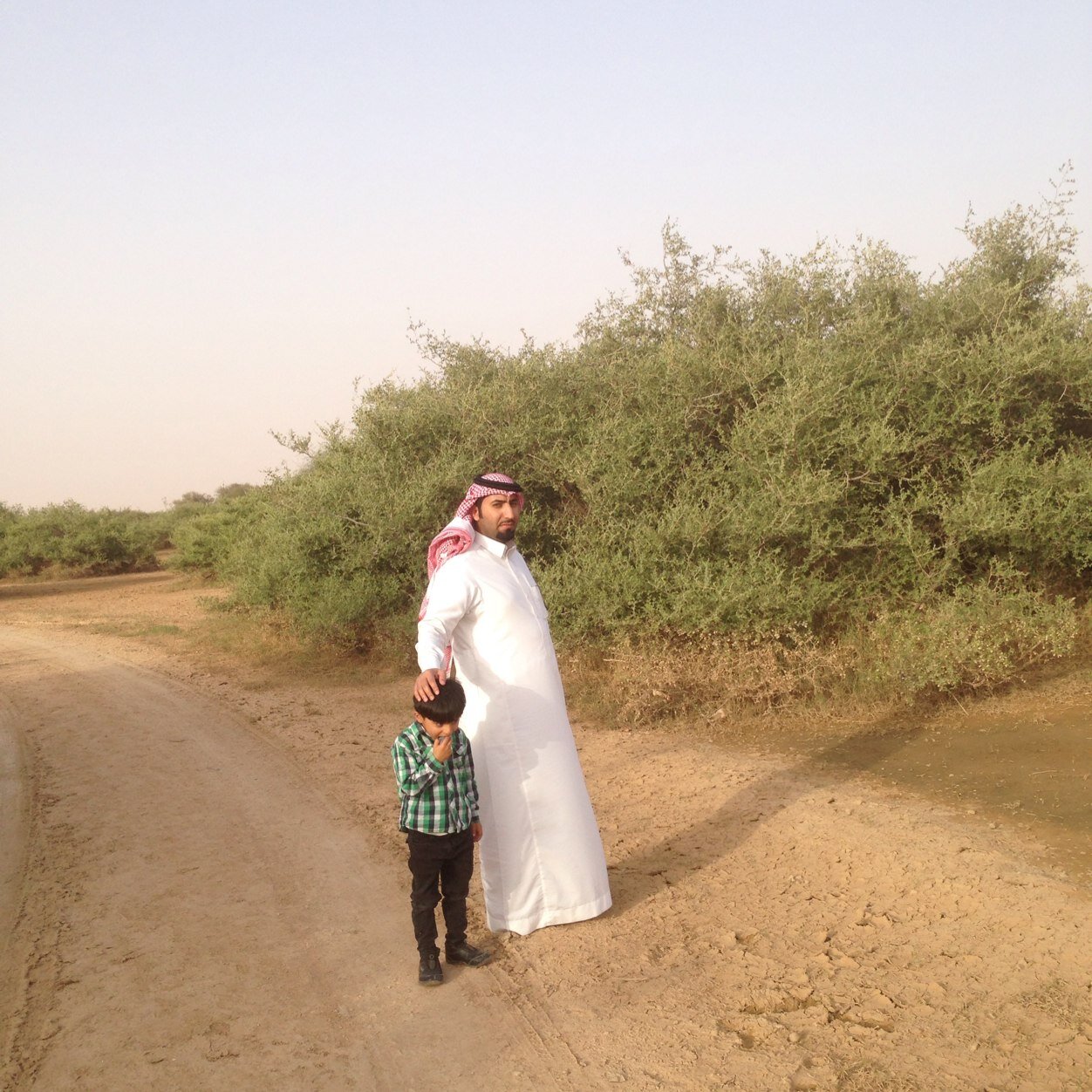 u_msfr's profile picture. 