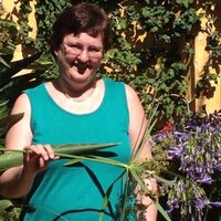 Susan Robinson (@s3robins) 's Twitter Profile
