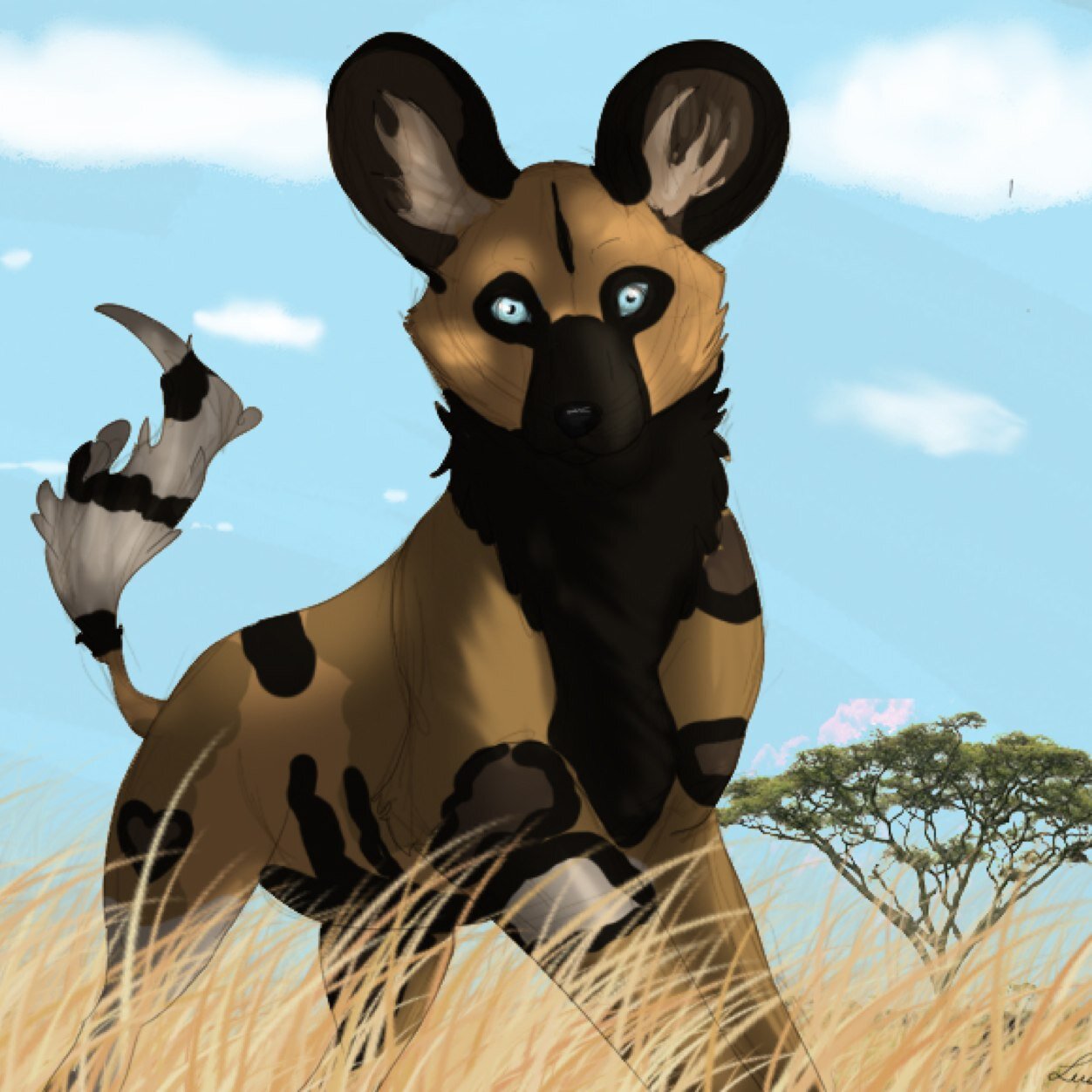 Angle_Dog_1's profile picture. i am angel i african wild dog....i love to explore and have fun yay! WANNA PLAY!!!!!!!! *play bows*