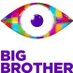 Big Brother 2015 (@bigbrother_game) Twitter profile photo