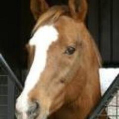 名馬サッカーボーイ F02 Twitter 名馬サッカーボーイ F02 Twitter