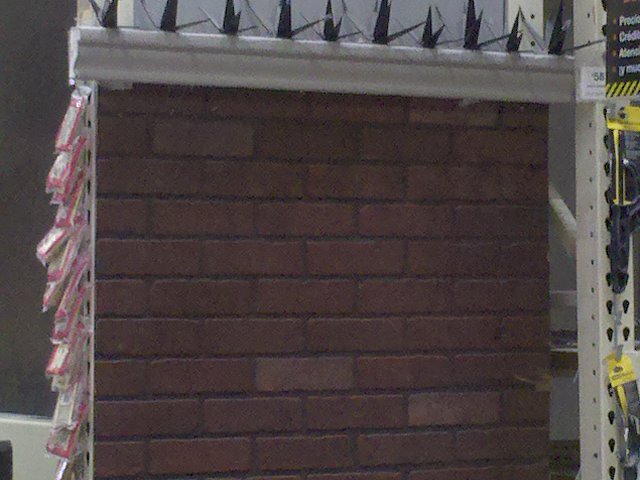 PNMLeonGto's profile picture. 