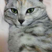 くうちゃま (@rtak38) 's Twitter Profile
