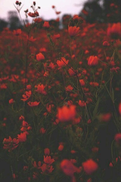 #followback #взаимныйфолловинг #followme