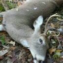 Eric Hutchcraft - @56225d74dd26455 - Twitter