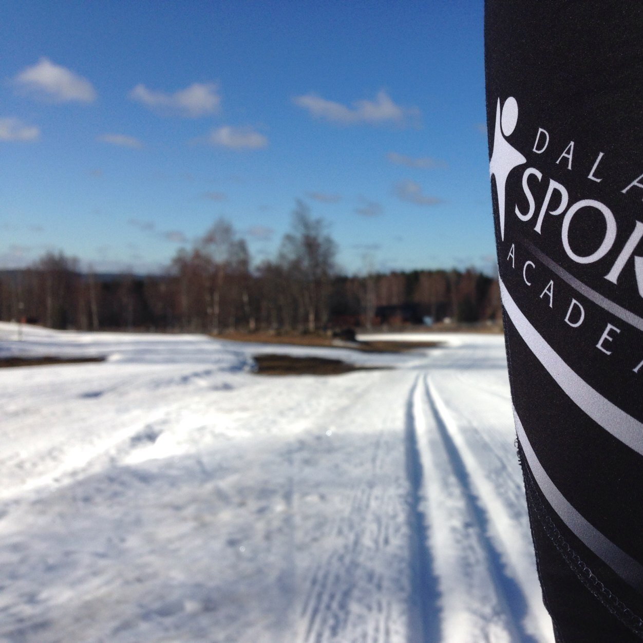 Dala Sports Academy - elitträningsgrupp i Falun-Borlänge