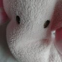 Stella Wade - @StellaTHEmerh - Twitter