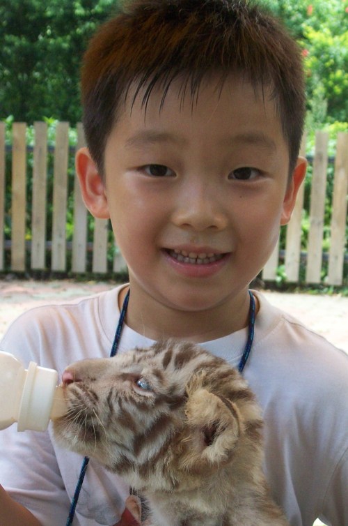 imchandave's profile picture. Raising a teen in Hong Kong...and no, I'm not THAT Davy Chan...