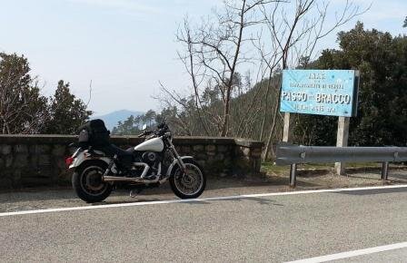 Investor & Biker