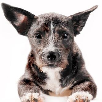 AmigosBankinter's profile picture. 