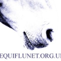 Follow us for rapid online notification of equine flu outbreaks in the UK and internationally.