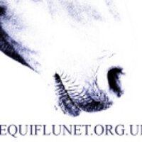 equiflunet (@equiflunet) 's Twitter Profile Photo