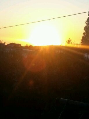 monaabbadi's profile picture. 