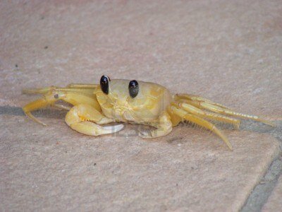 RaulRebak's profile picture. Corrosion Engineer, Metallurgist, Electrochemist, Cinema Enthusiast, Borges