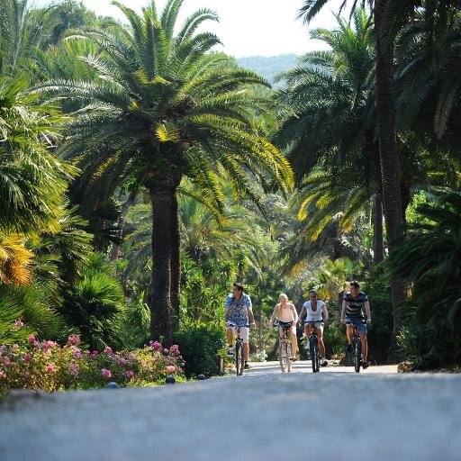 Rosselbalepalme's profile picture. Camping Village in Portoferraio, on the Island of Elba ,with Mobile Homes, Glamping Tents and apartaments 500 mt. from the sea. A big swimming area