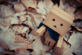 ニュースな話題や地域の情報など様々な情報に対する思いや感想を述べたいと思います。