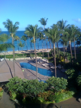 PhoebeSimmons's profile picture. 