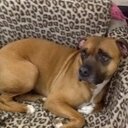 Mitch Hart-Lincoln - @MitchLincoln - Twitter