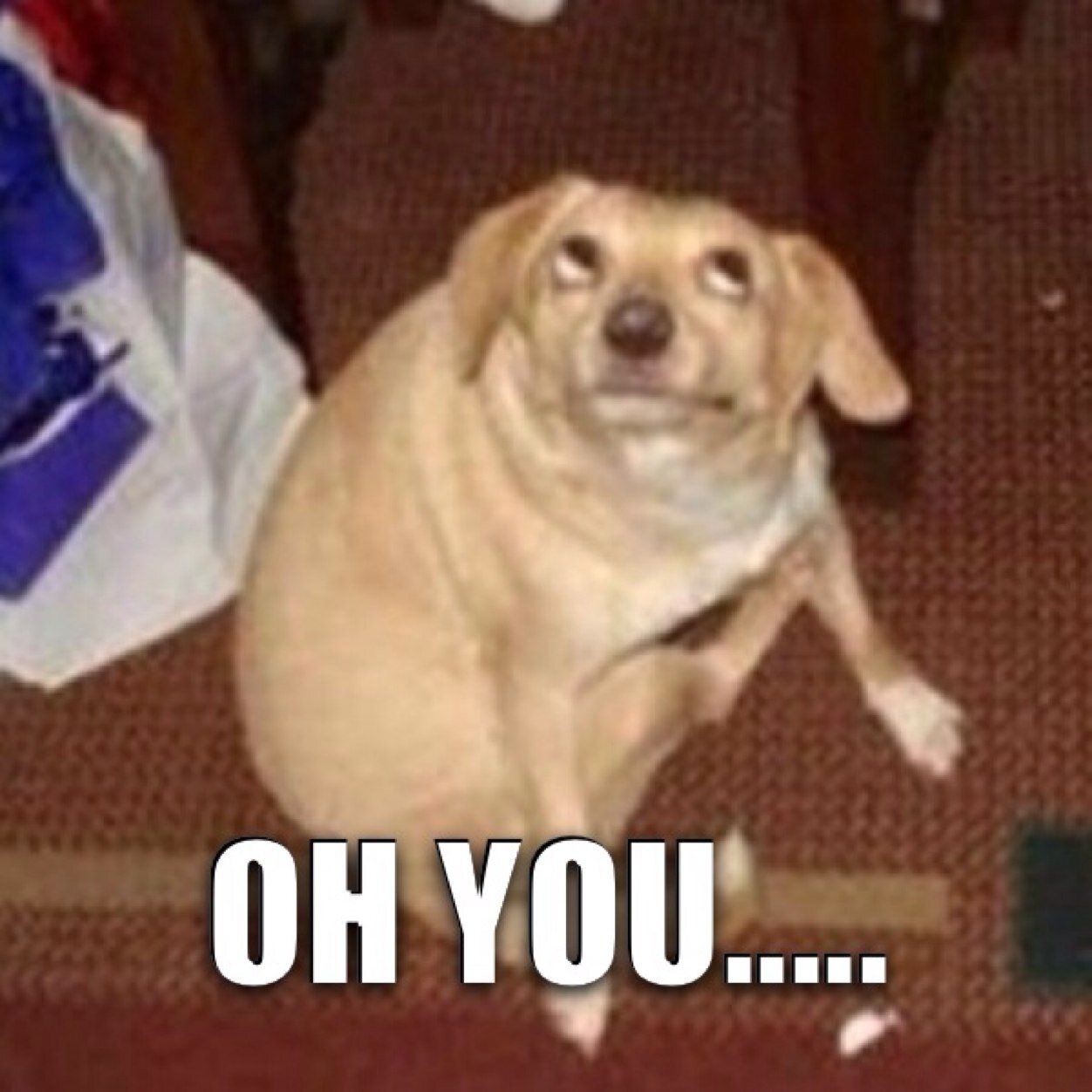 EdtheMond's profile picture. The greatest musician and guitarist that my living room has EVER seen. Also the richest and most handsom that my bathroom mirror has ever seen.