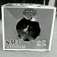 Pubcat @ The Hope, Carshalton (@pubcathope) 's Twitter Profile Photo Pubcat @ The Hope, Carshalton (@pubcathope) 's Twitter Profile Photo