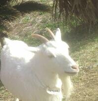 介護福祉士。現在、宿泊業をやっております。音楽聴いたり、海眺めたり。写真とか走りとか。心持ち広く。ほぼほぼ、リツイート。 twice好き。頑張りまい☀️