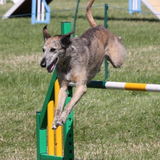 NaomiOrme1's profile picture. 