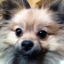 MST♡ (@0322Mt) Twitter