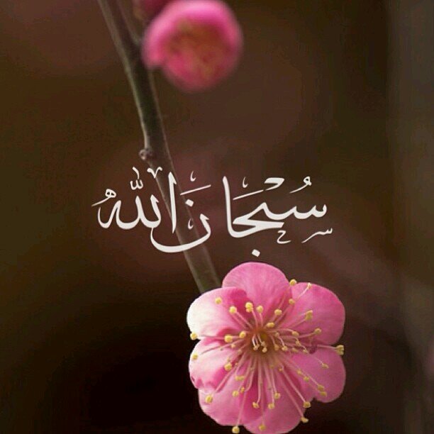 csstudent2014's profile picture. CS Student