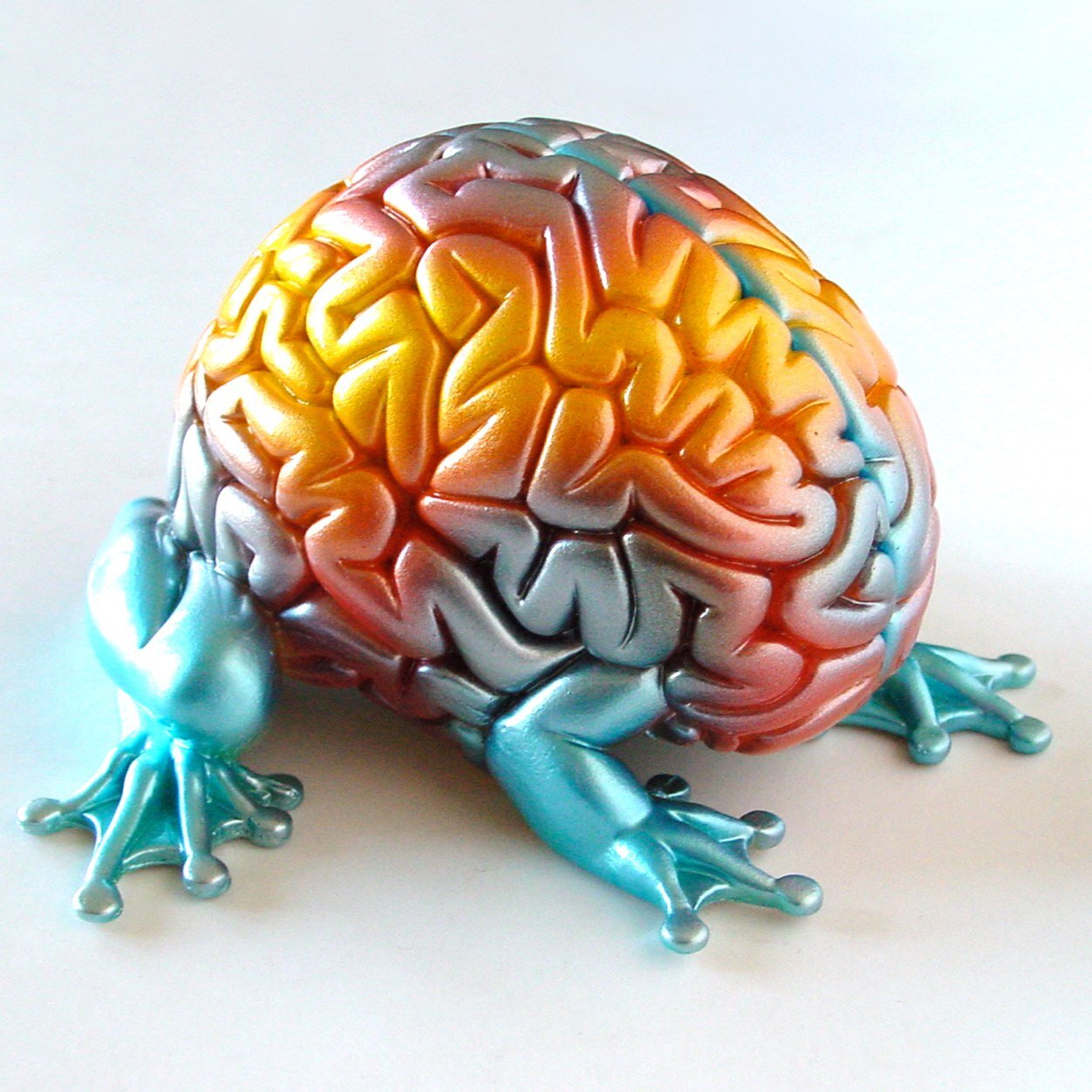 Profesor, examinador, formador, coach y cosultor. Desarrollemos sus cerebros. Teacher, examiner, trainer, coach and consultant. Let's improve their brains.