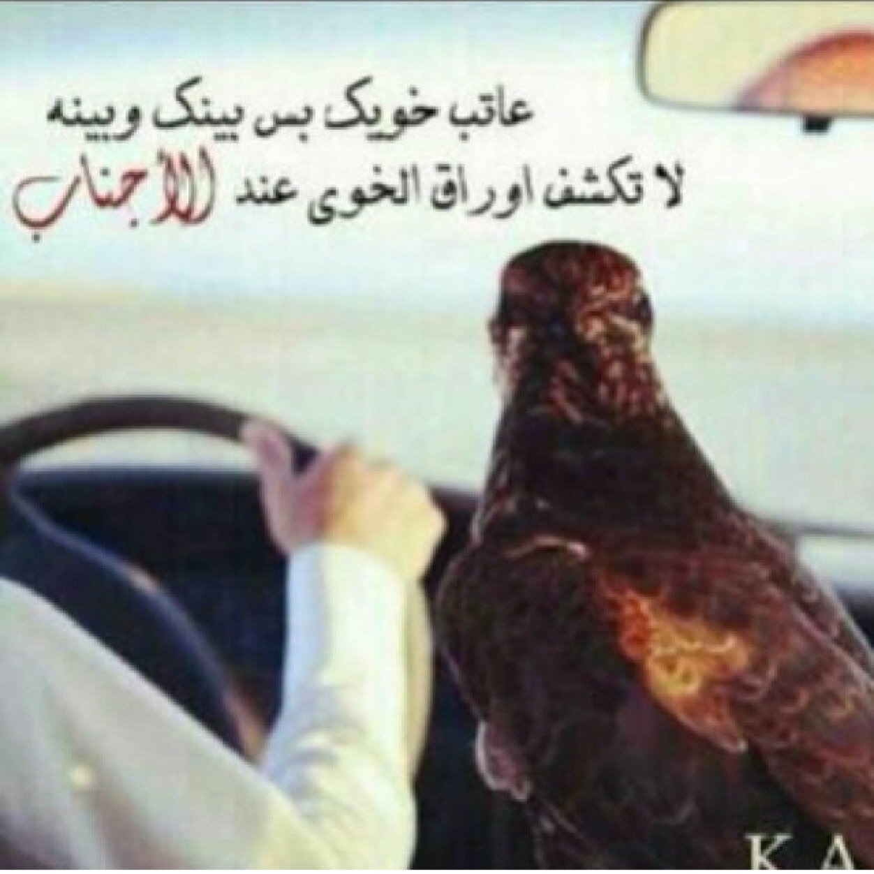 ttoo452's profile picture. 