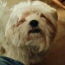 Avery Francis - @f54e13cd278d40c - Twitter